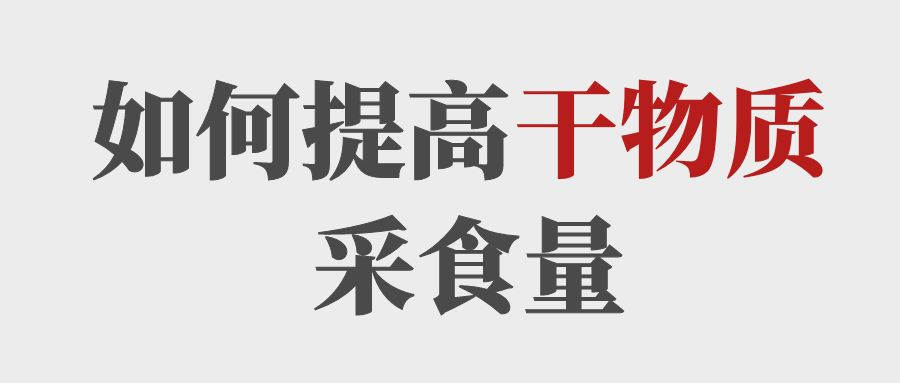 做到這5點(diǎn)提高育肥牛的干物質(zhì)采食量！